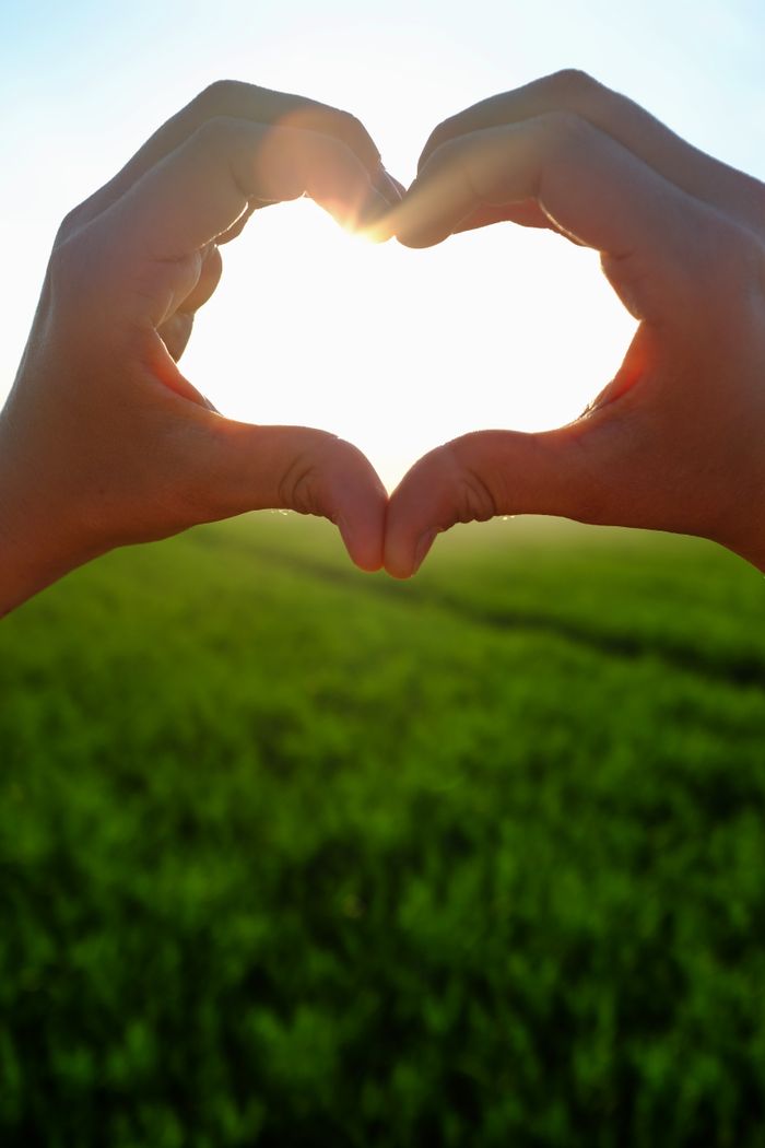 Services Silhouette of heart-shaped hands with sunlight streaming through over a green field.